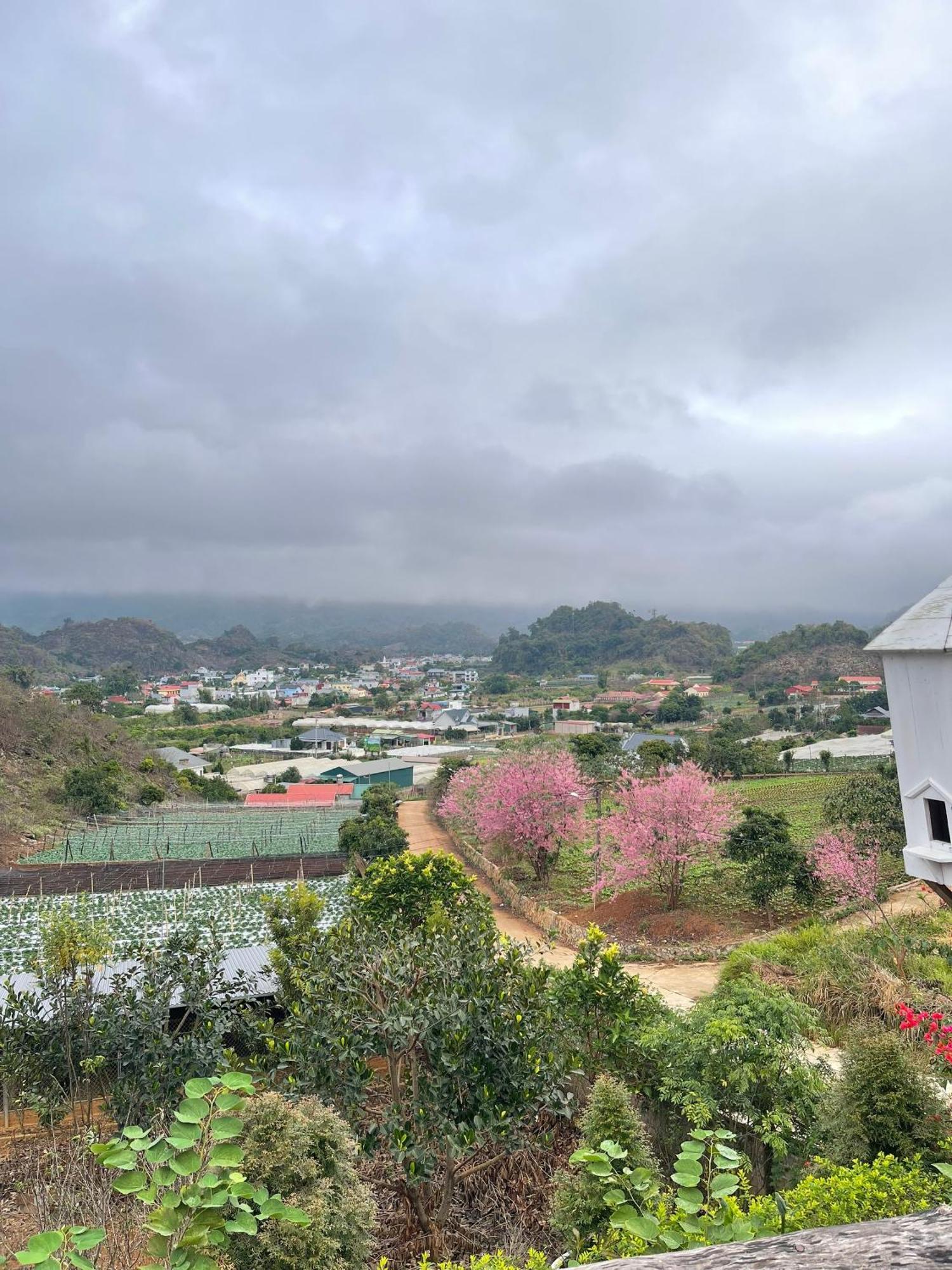Doi Thong Homestay Moc Chau - By Bay Luxury Son La Exteriör bild